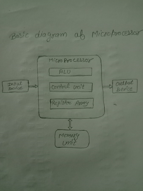 assignment of 8086 microprocessor