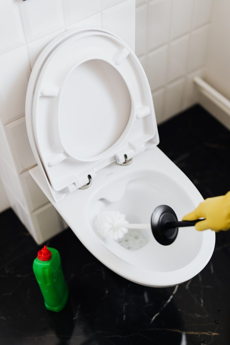 Expert Tips to Easily Fix a Clogged Toilet | Unclog Toilet