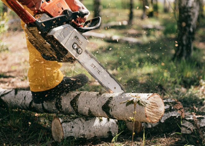 5 Best Chainsaw Brands for Power and Reliability 2025