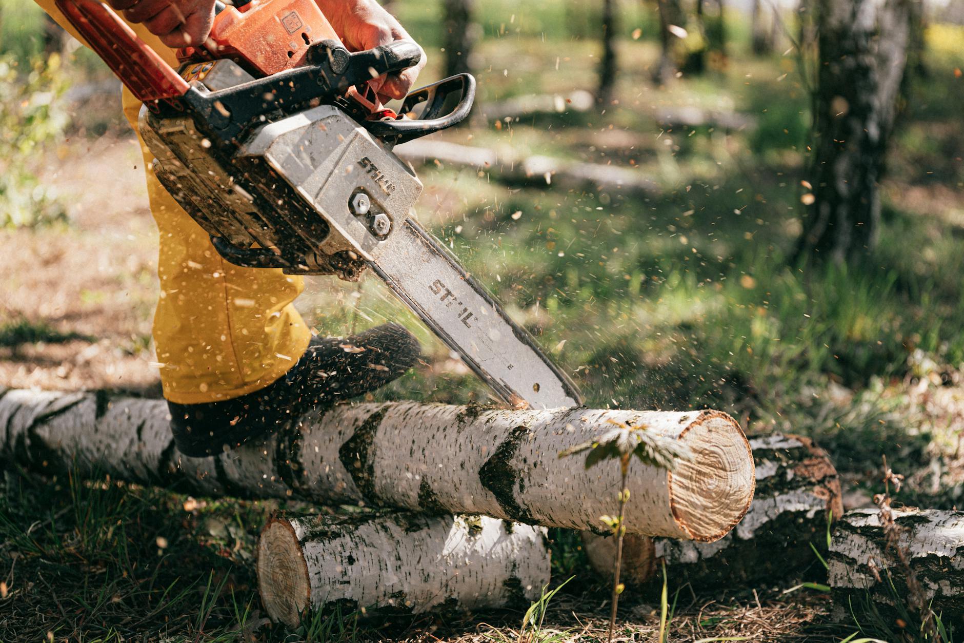 5 Best Chainsaw Brands for Power and Reliability 2025